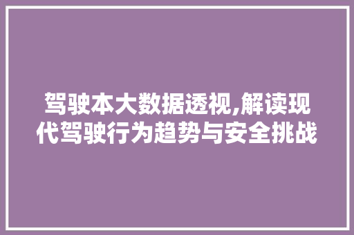 驾驶本大数据透视,解读现代驾驶行为趋势与安全挑战 百度SEO