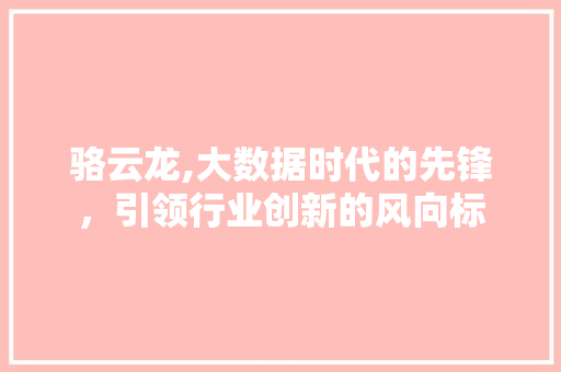 骆云龙,大数据时代的先锋，引领行业创新的风向标 搜狗SEO