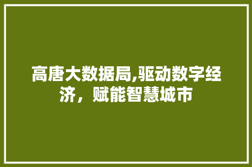 高唐大数据局,驱动数字经济，赋能智慧城市 百度SEO
