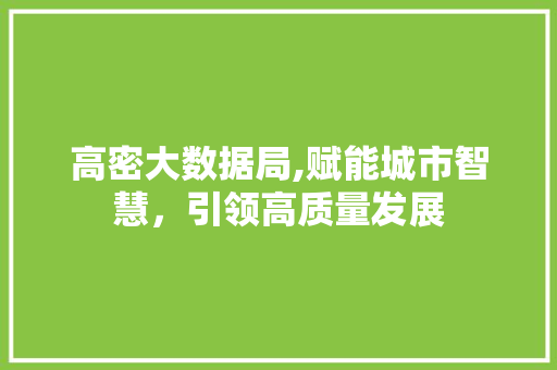 高密大数据局,赋能城市智慧，引领高质量发展 神马SEO