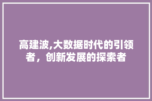 高建波,大数据时代的引领者，创新发展的探索者 必应SEO