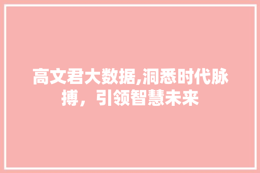高文君大数据,洞悉时代脉搏，引领智慧未来 百度SEO