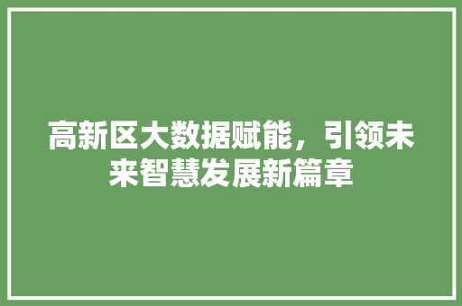 高新区大数据赋能，引领未来智慧发展新篇章 GoogleSEO