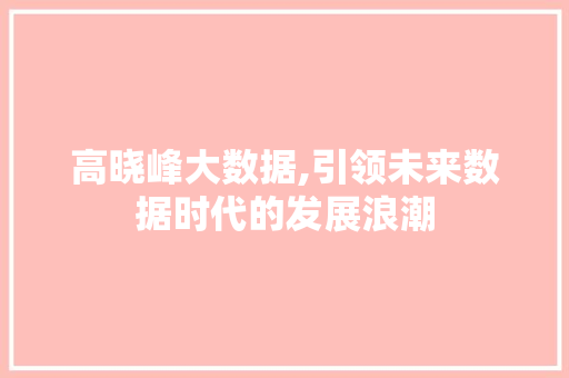 高晓峰大数据,引领未来数据时代的发展浪潮 搜狗SEO