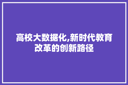 高校大数据化,新时代教育改革的创新路径 GoogleSEO