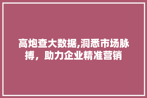 高炮查大数据,洞悉市场脉搏，助力企业精准营销 搜狗SEO
