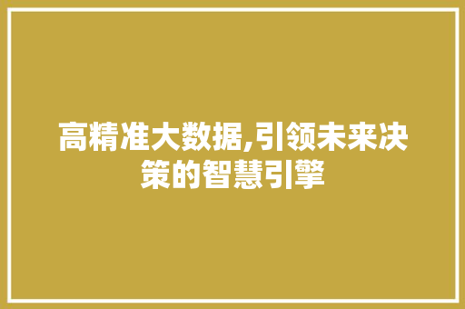 高精准大数据,引领未来决策的智慧引擎