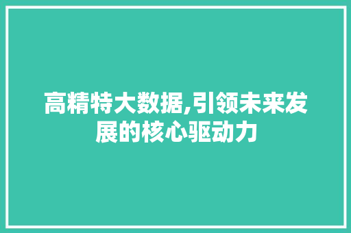 高精特大数据,引领未来发展的核心驱动力 百度SEO