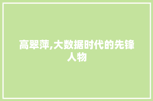 高翠萍,大数据时代的先锋人物 必应SEO