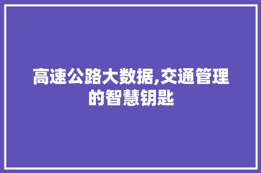 高速公路大数据,交通管理的智慧钥匙 GoogleSEO