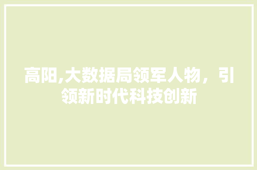 高阳,大数据局领军人物，引领新时代科技创新 搜狗SEO