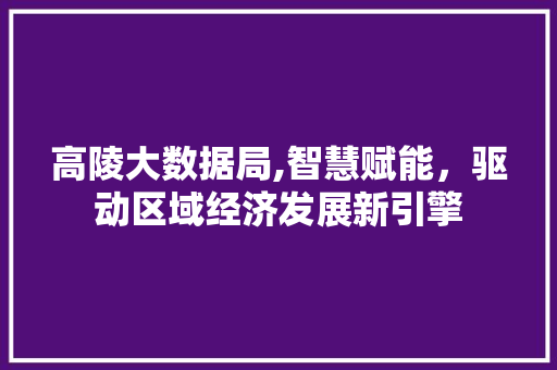 高陵大数据局,智慧赋能，驱动区域经济发展新引擎 神马SEO