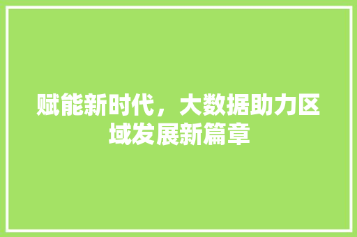 赋能新时代，大数据助力区域发展新篇章 必应SEO