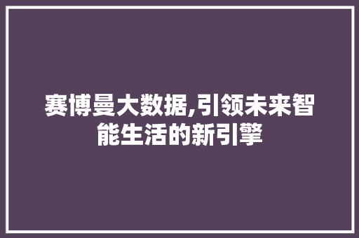赛博曼大数据,引领未来智能生活的新引擎 GoogleSEO