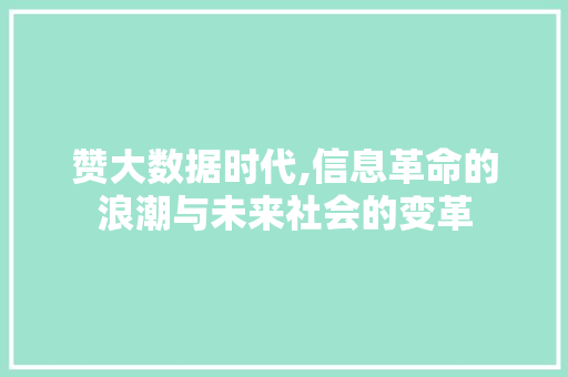 赞大数据时代,信息革命的浪潮与未来社会的变革 神马SEO