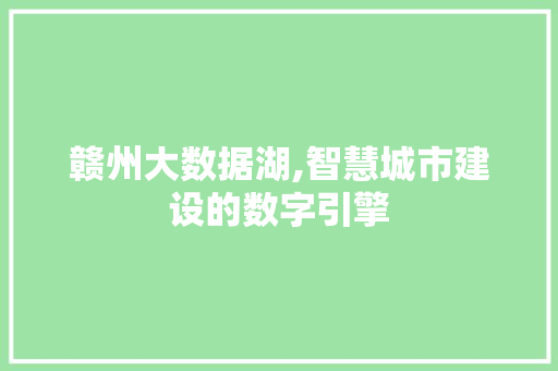 赣州大数据湖,智慧城市建设的数字引擎 GoogleSEO