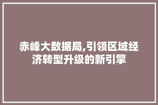 赤峰大数据局,引领区域经济转型升级的新引擎 神马SEO