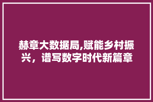 赫章大数据局,赋能乡村振兴，谱写数字时代新篇章 GoogleSEO