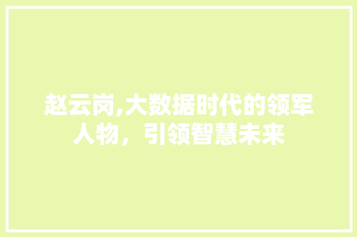 赵云岗,大数据时代的领军人物，引领智慧未来 百度SEO