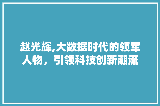 赵光辉,大数据时代的领军人物，引领科技创新潮流 搜狗SEO