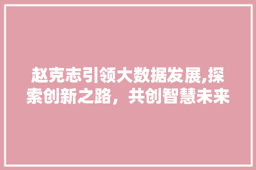 赵克志引领大数据发展,探索创新之路，共创智慧未来 GoogleSEO