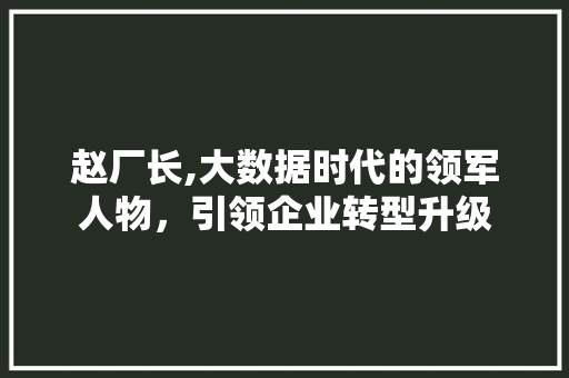 赵厂长,大数据时代的领军人物，引领企业转型升级