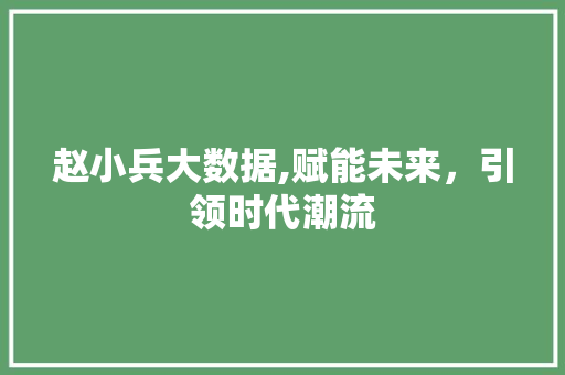 赵小兵大数据,赋能未来，引领时代潮流 神马SEO