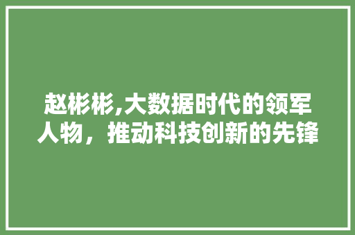 赵彬彬,大数据时代的领军人物，推动科技创新的先锋 必应SEO