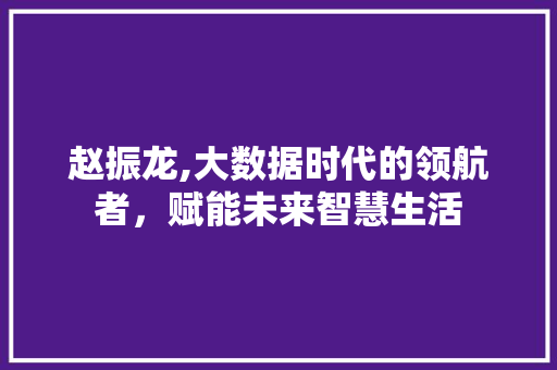 赵振龙,大数据时代的领航者，赋能未来智慧生活 百度SEO