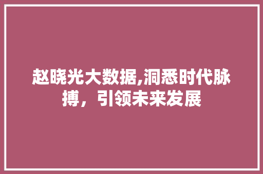 赵晓光大数据,洞悉时代脉搏，引领未来发展 GoogleSEO