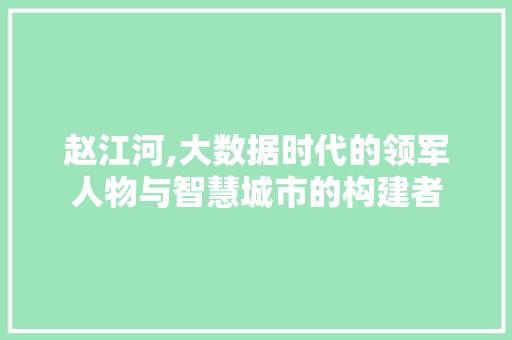 赵江河,大数据时代的领军人物与智慧城市的构建者 百度SEO