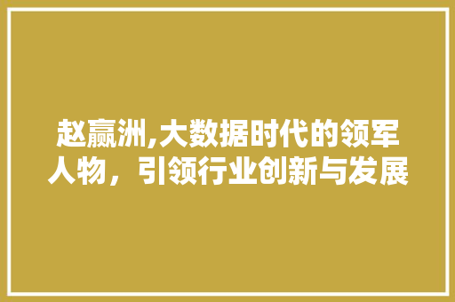 赵赢洲,大数据时代的领军人物，引领行业创新与发展 百度SEO