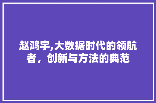 赵鸿宇,大数据时代的领航者，创新与方法的典范 百度SEO