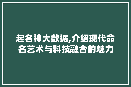 起名神大数据,介绍现代命名艺术与科技融合的魅力 必应SEO