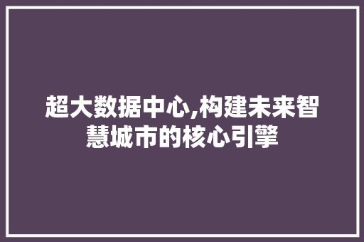 超大数据中心,构建未来智慧城市的核心引擎 必应SEO