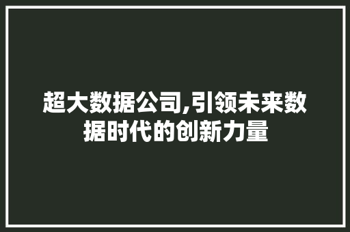 超大数据公司,引领未来数据时代的创新力量