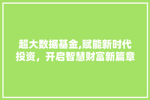 超大数据基金,赋能新时代投资，开启智慧财富新篇章 神马SEO