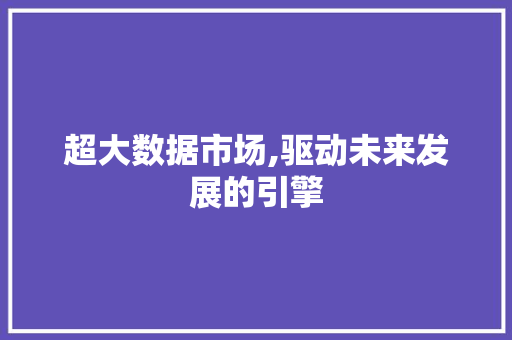 超大数据市场,驱动未来发展的引擎