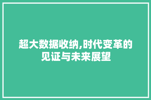 超大数据收纳,时代变革的见证与未来展望 百度SEO