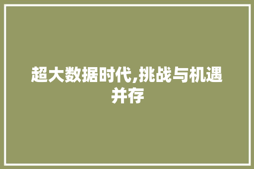 超大数据时代,挑战与机遇并存