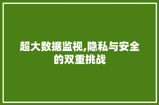 超大数据监视,隐私与安全的双重挑战 百度SEO