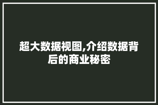 超大数据视图,介绍数据背后的商业秘密 百度SEO