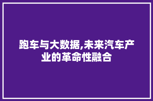 跑车与大数据,未来汽车产业的革命性融合 百度SEO