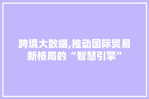 跨境大数据,推动国际贸易新格局的“智慧引擎” 神马SEO