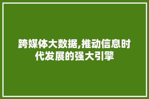 跨媒体大数据,推动信息时代发展的强大引擎 百度SEO