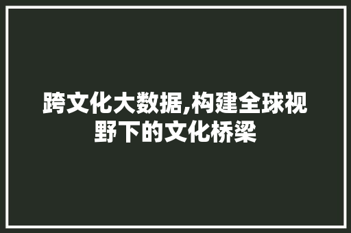 跨文化大数据,构建全球视野下的文化桥梁 必应SEO