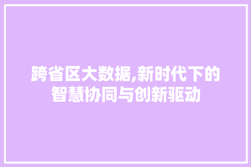 跨省区大数据,新时代下的智慧协同与创新驱动 百度SEO