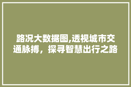 路况大数据图,透视城市交通脉搏,探寻智慧出行之路 神马SEO 路况大数据图,透视城市交通脉搏,探寻智慧出行之路 神马SEO