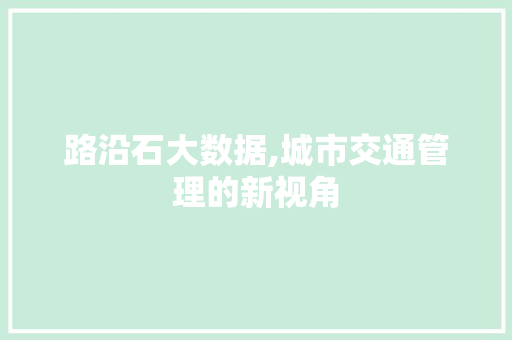 路沿石大数据,城市交通管理的新视角 神马SEO 路沿石大数据,城市交通管理的新视角 神马SEO