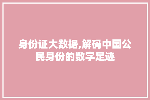 身份证大数据,解码中国公民身份的数字足迹 必应SEO